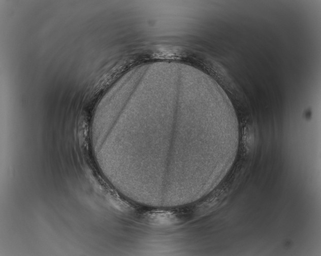 X0000115580322200912081032