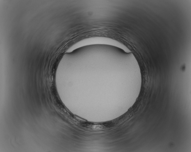 X0000115580324200912081032