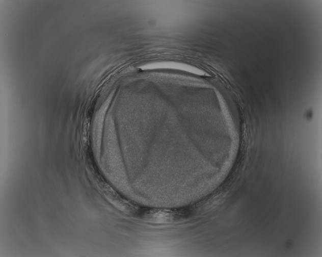 X0000115580325200912081032