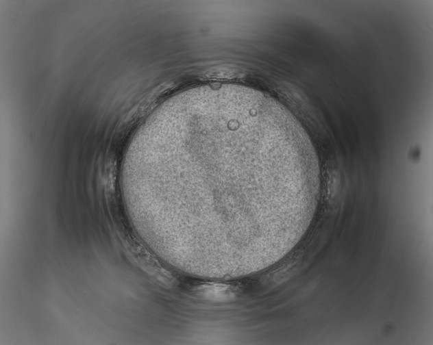 X0000115580326200912081032