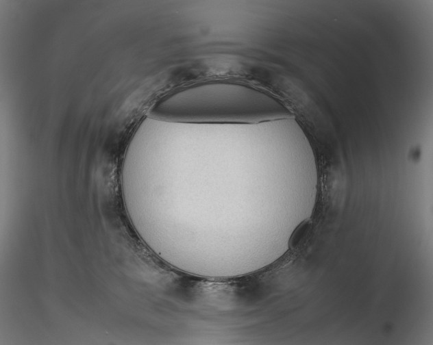 X0000115580327200912081032