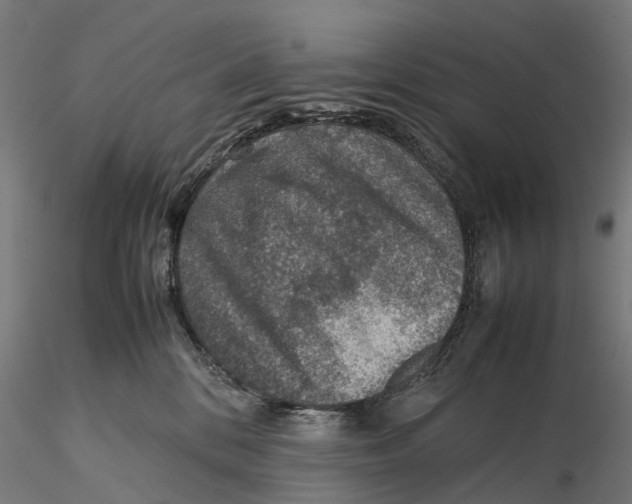 X0000115580328200912081032