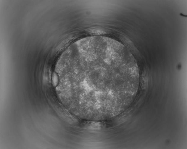 X0000115580330200912081032