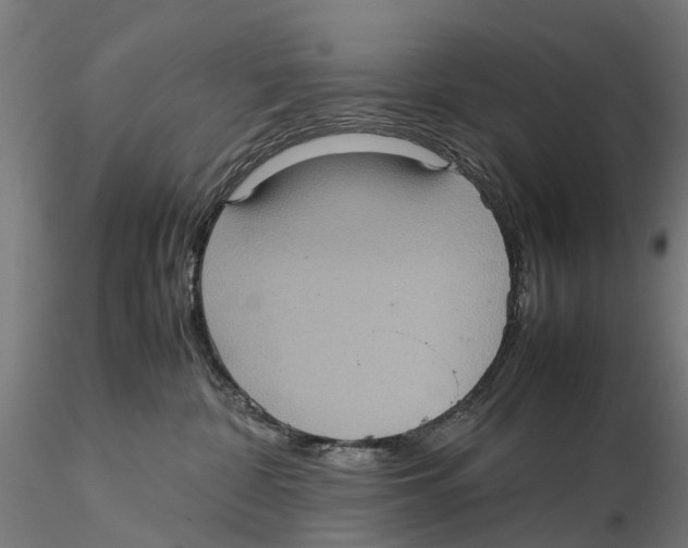 X0000115580332200912081032