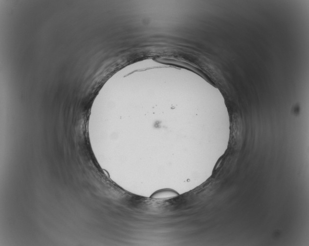 X0000115580333200912081032