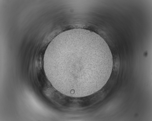 X0000115580334200912081032