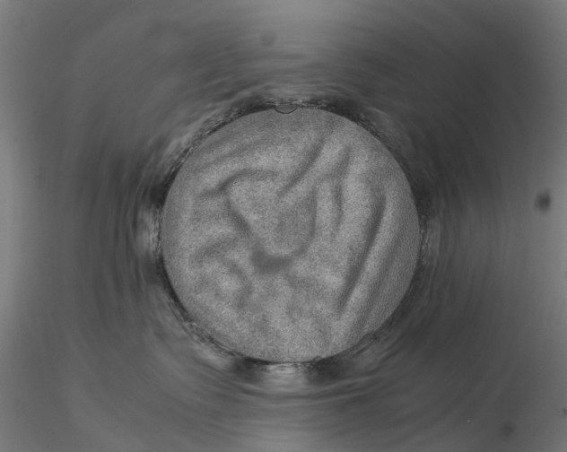 X0000115580335200912081032