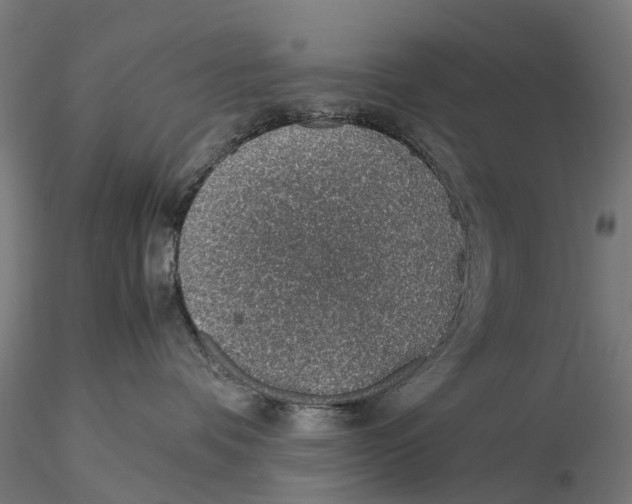 X0000115580336200912081032