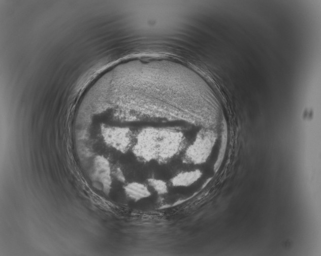 X0000115580337200912081031