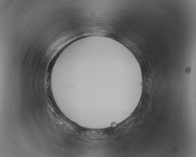 X0000115580338200912081031