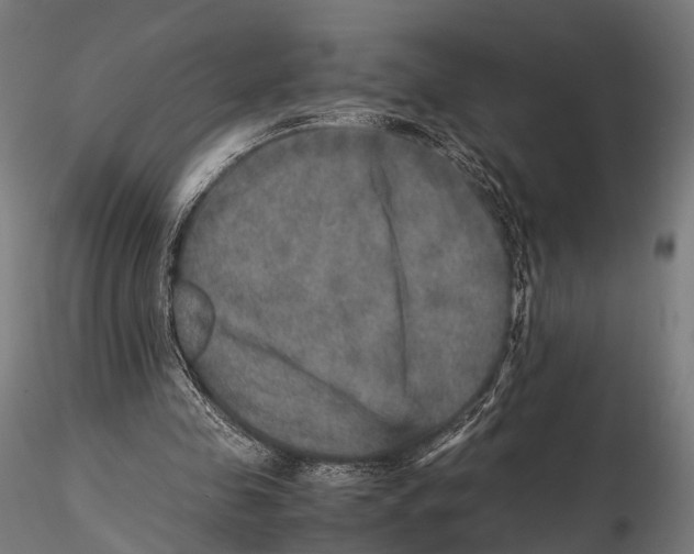 X0000115580341200912081031