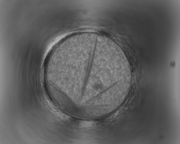 X0000115580342200912081031