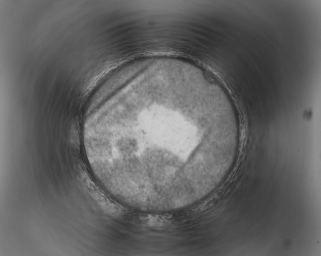 X0000115580345200912081031