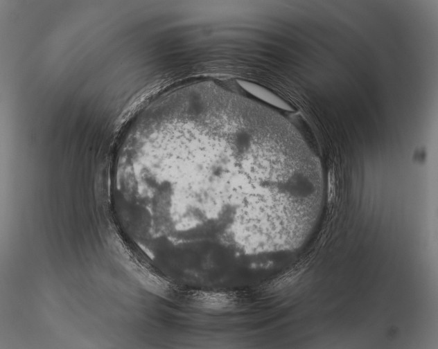 X0000115580349200912081031