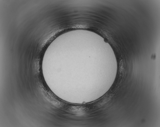 X0000115580351200912081031