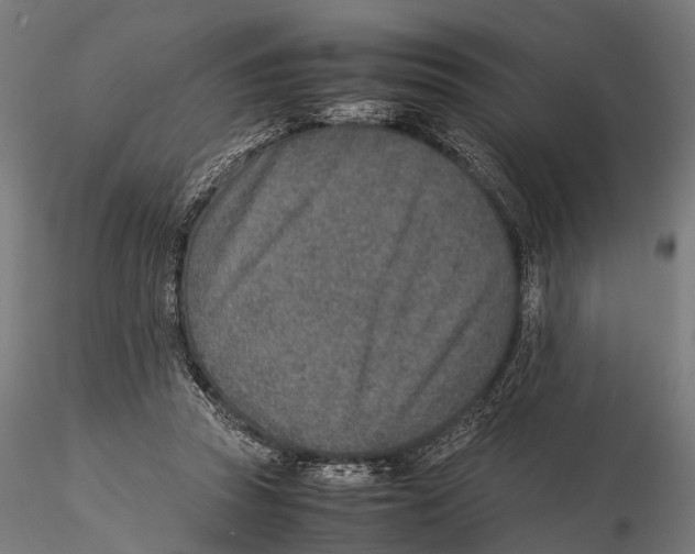 X0000115580353200912081031