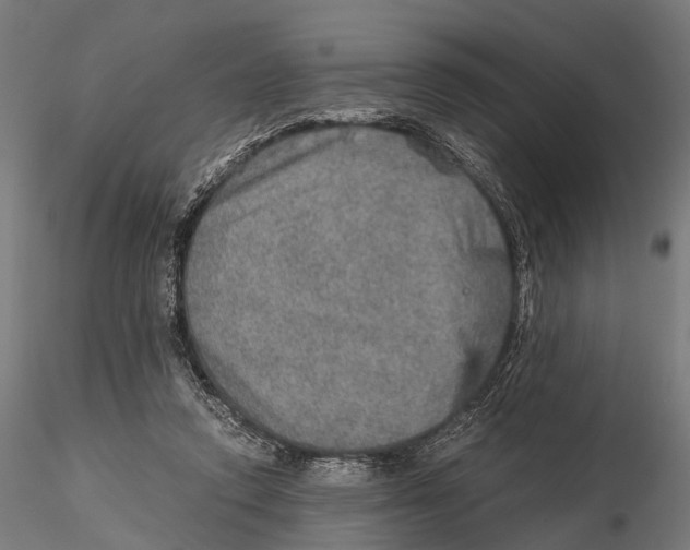 X0000115580354200912081031