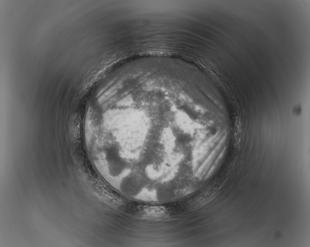 X0000115580355200912081031