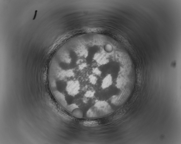 X0000115580357200912081031