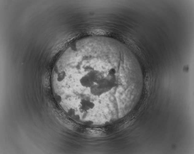 X0000115580359200912081031