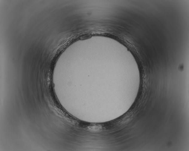 X0000115580362200912081031