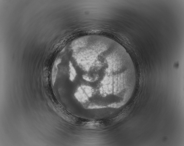 X0000115580366200912081031