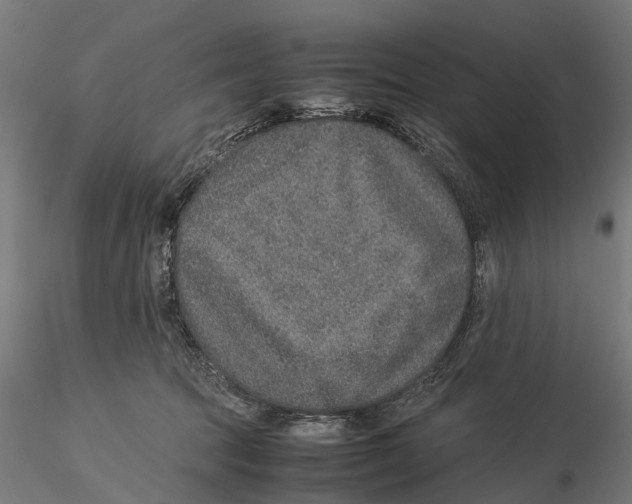 X0000115580369200912081031