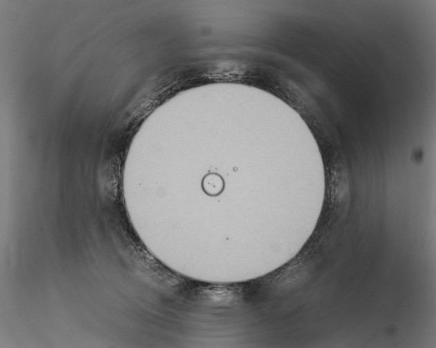 X0000115580370200912081031