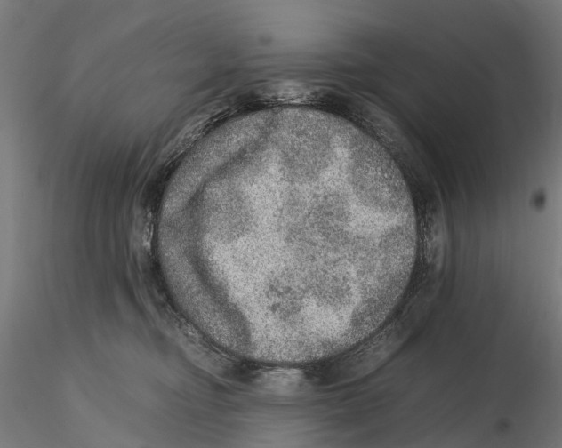 X0000115580374200912081031