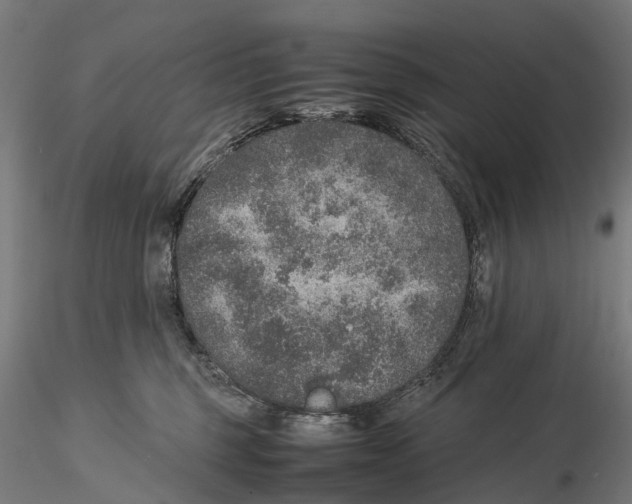 X0000115580375200912081031