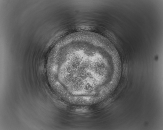 X0000115580377200912081031