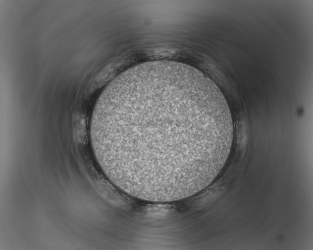 X0000115580378200912081031