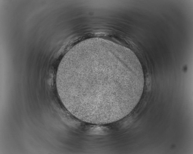 X0000115580379200912081031