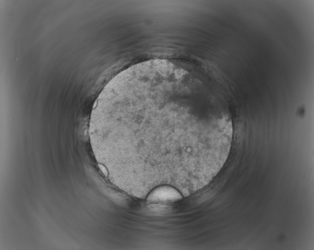 X0000115580383200912081032