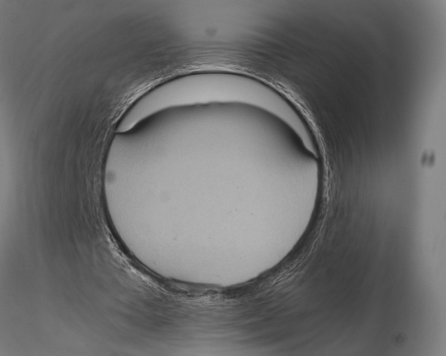 X0000115580385200912081031