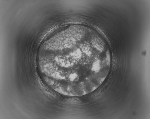 X0000115580386200912081031