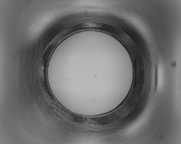 X0000115580387200912081031