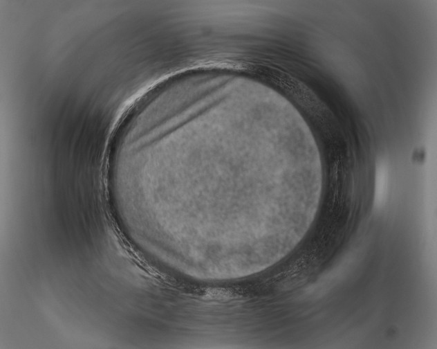 X0000115580388200912081031