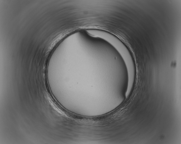 X0000115580389200912081031