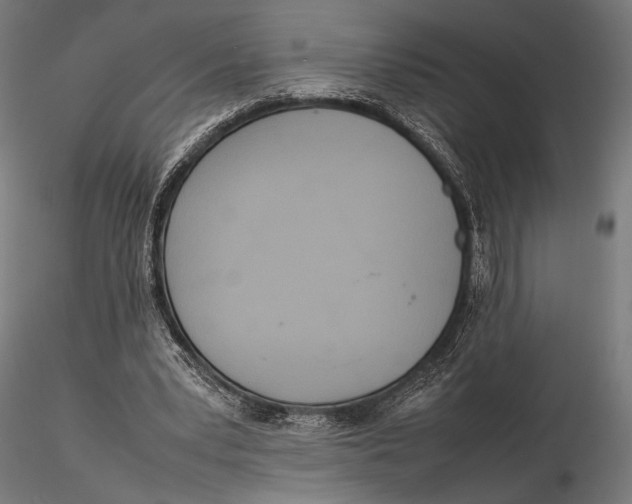 X0000115580391200912081031