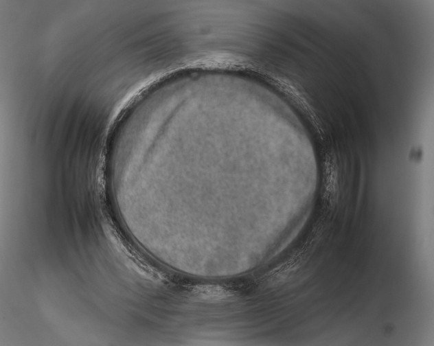 X0000115580392200912081031