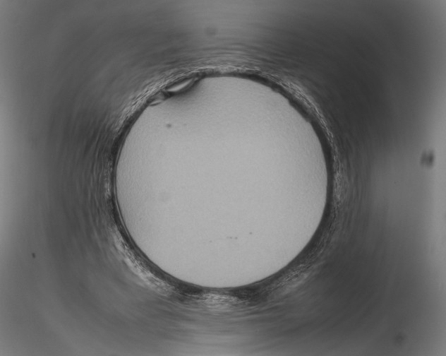 X0000115580393200912081031