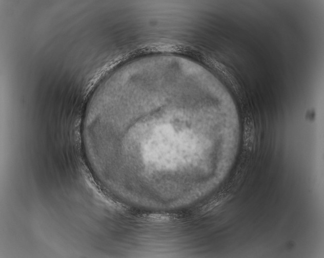 X0000115580394200912081031