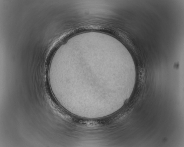 X0000115580395200912081031