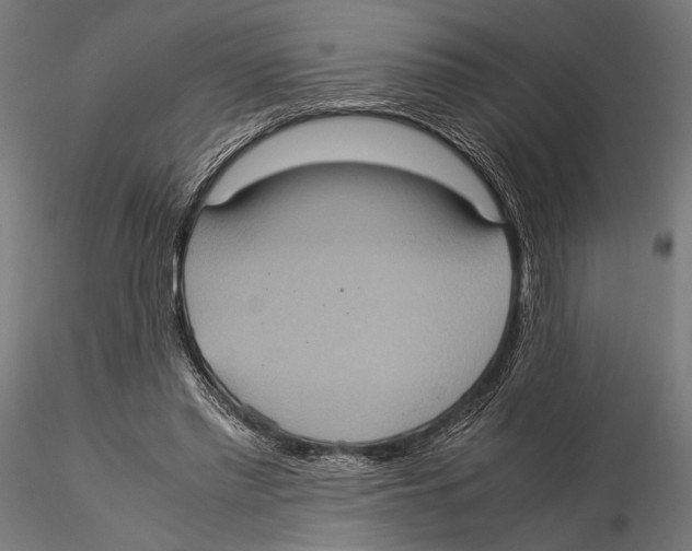 X0000115580397200912081031