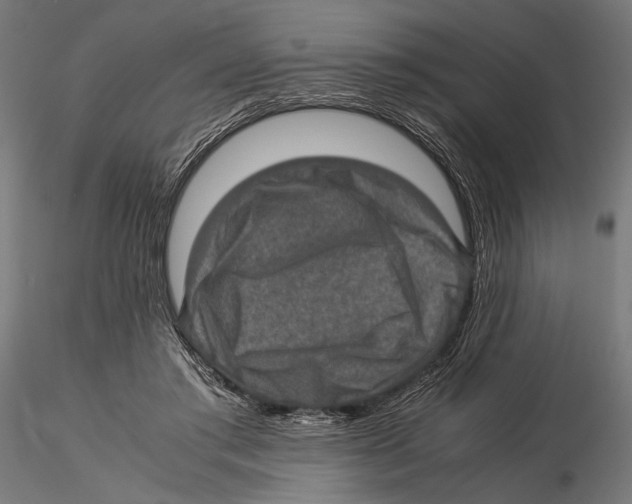 X0000115580405200912081030