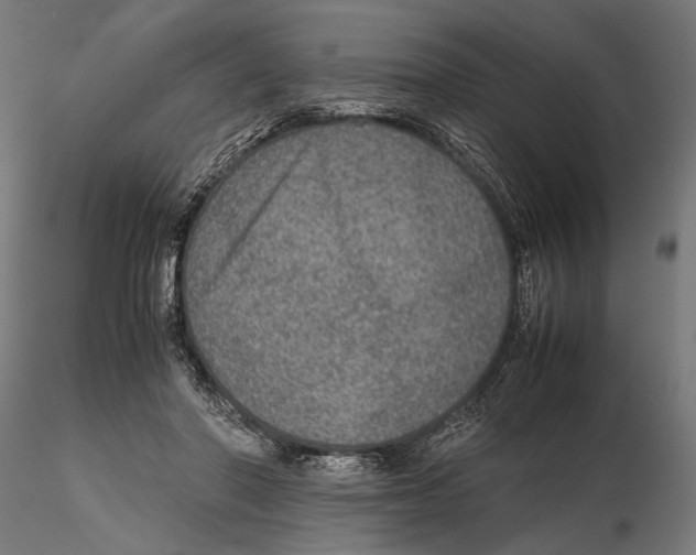 X0000115580406200912081030