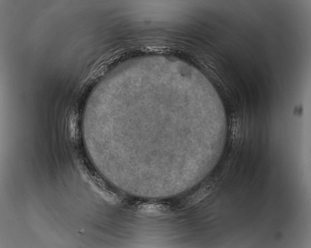 X0000115580408200912081030