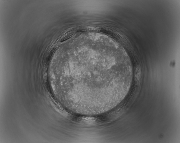 X0000115580409200912081030