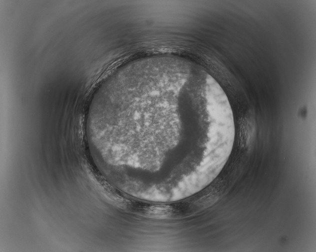 X0000115580410200912081030